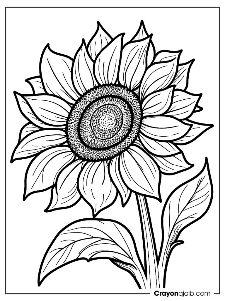 Sunny sunflower design ca