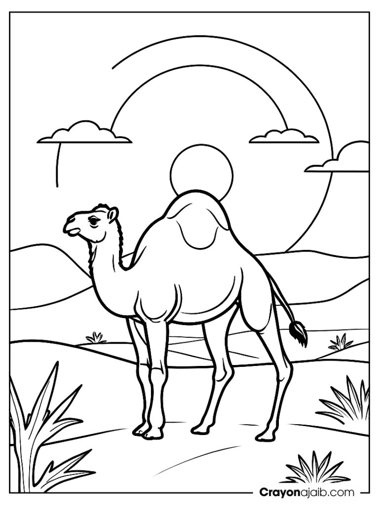 Camel in the desert scene for preschoolers ca