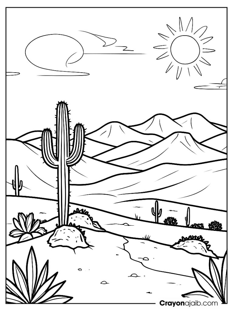 Desert cactus with sun for kids ca