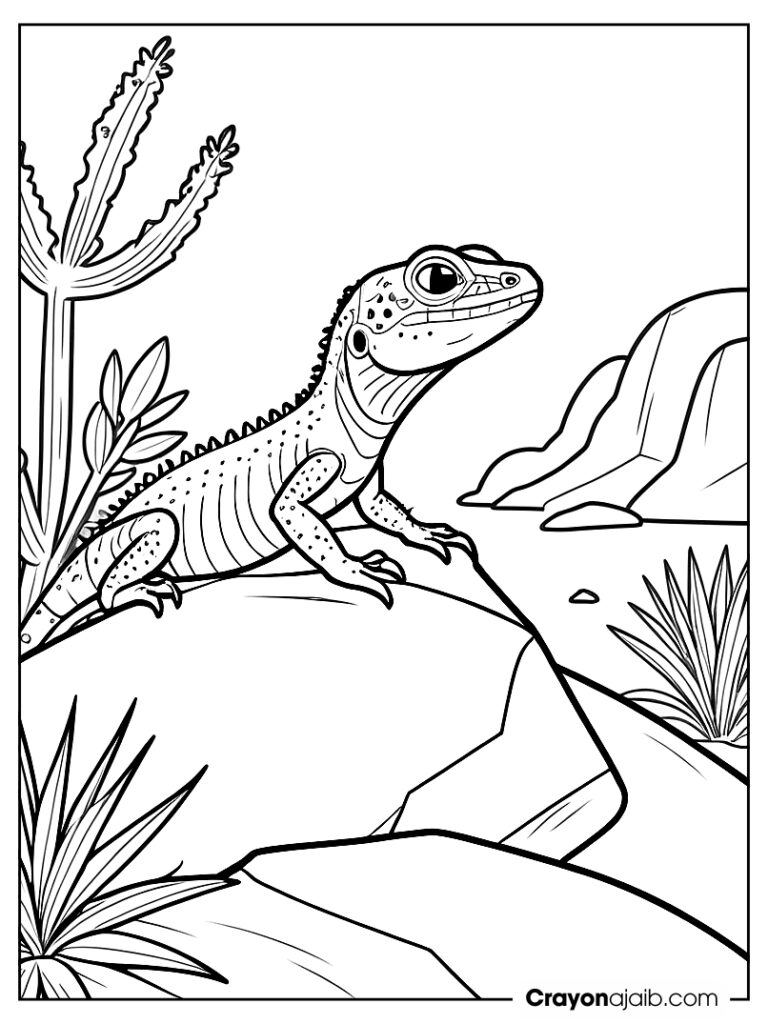 Desert lizard on a rock for toddlers ca