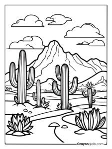 Desert with cacti