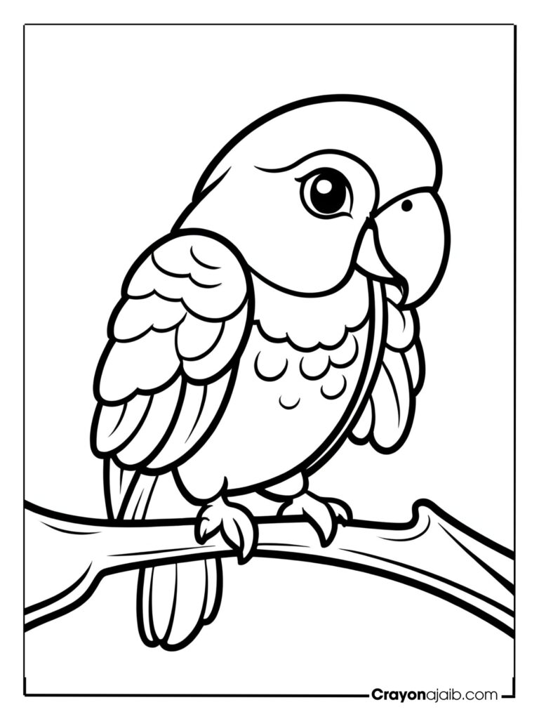 printable parrot Happy amazon parrot