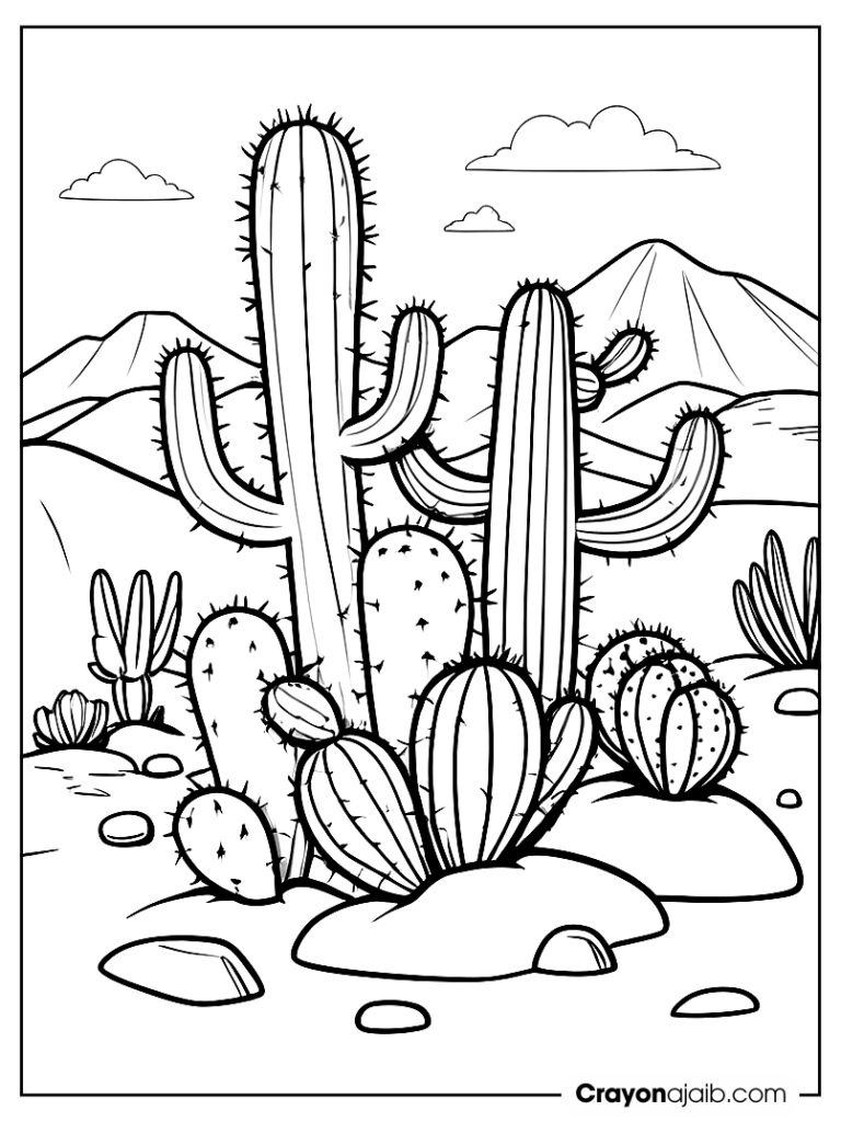 Simple cacti and rocks for little artists ca