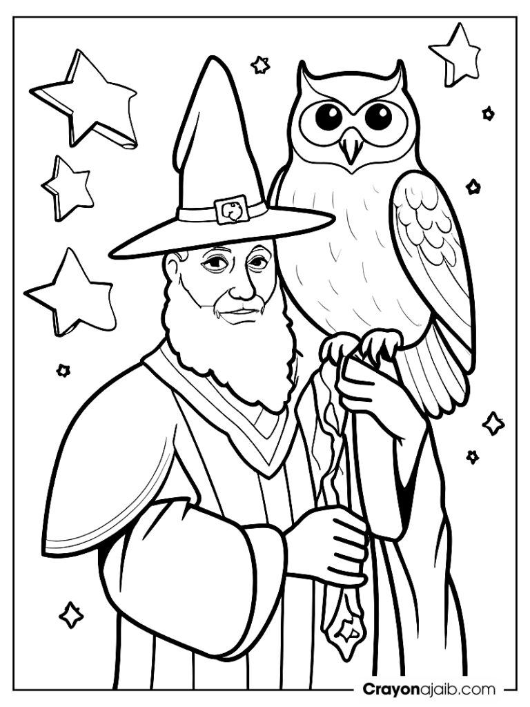 Wizard with owl and stars crayonajaib