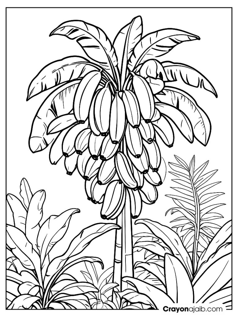 banana coloring. A tall banana tree with bunches of bananas hanging down, ca