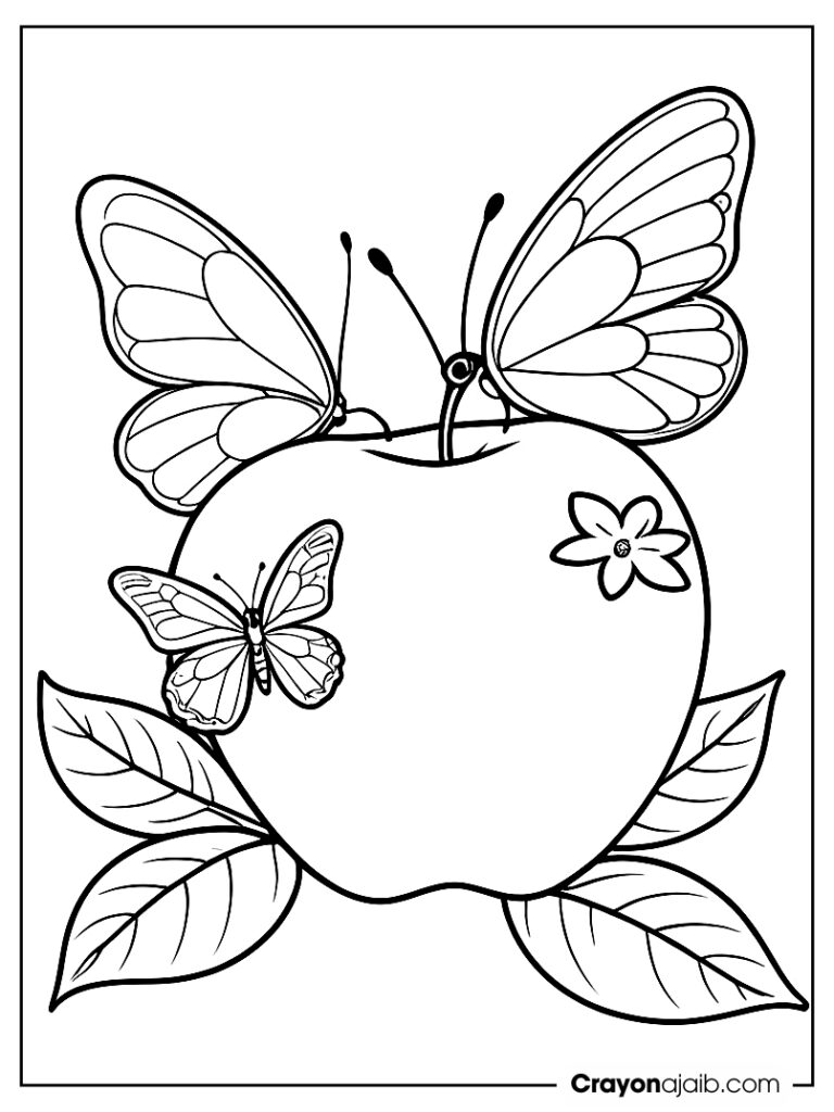 Apple half and butterfly for kids coloring page ca