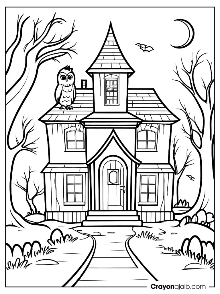 Haunted house with owl and path crayonajaib