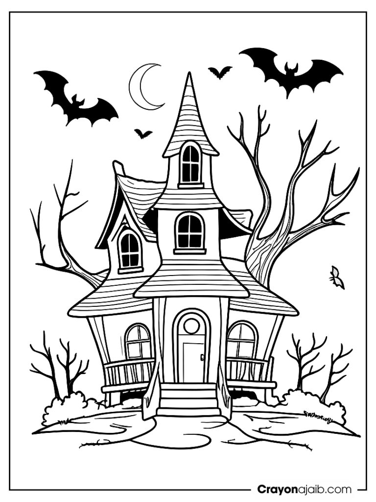 Haunted house with witch's hat and bats crayonajaib