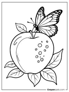 Seeds and leaves apple coloring page ca