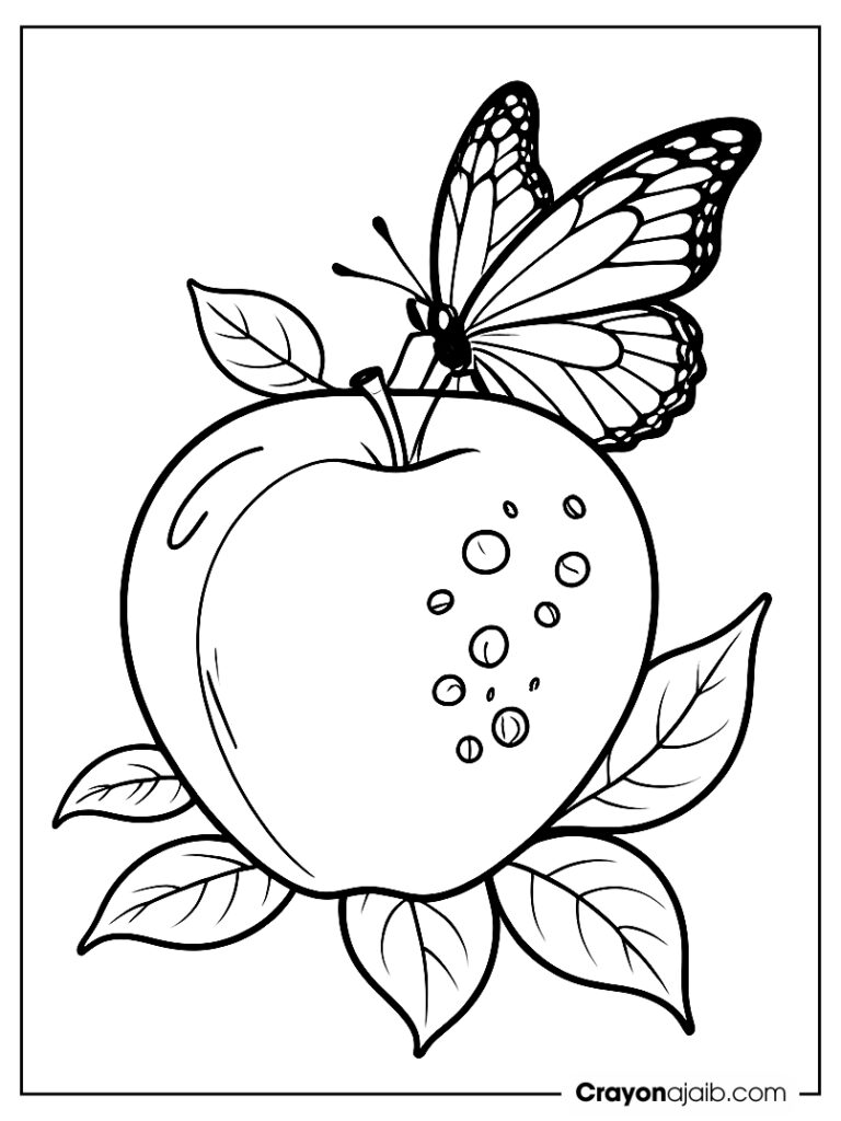 Seeds and leaves apple coloring page ca