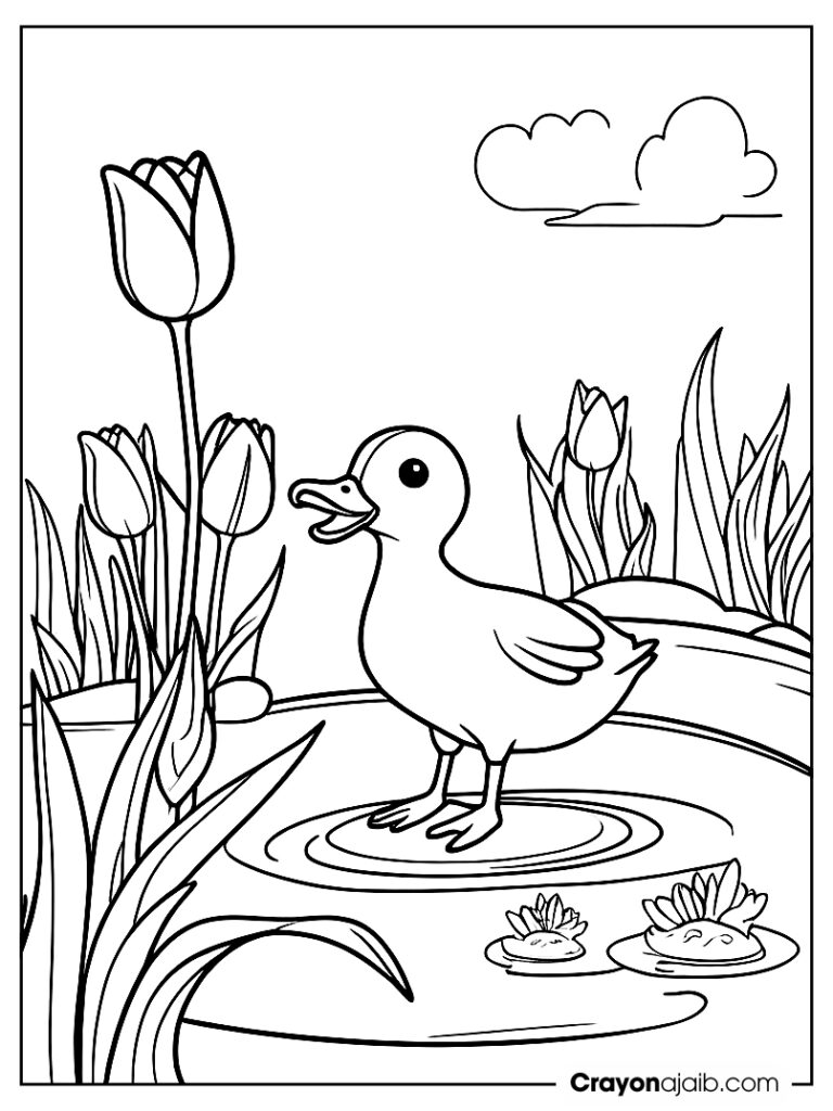 Tulip flower and duck by pond scene ca