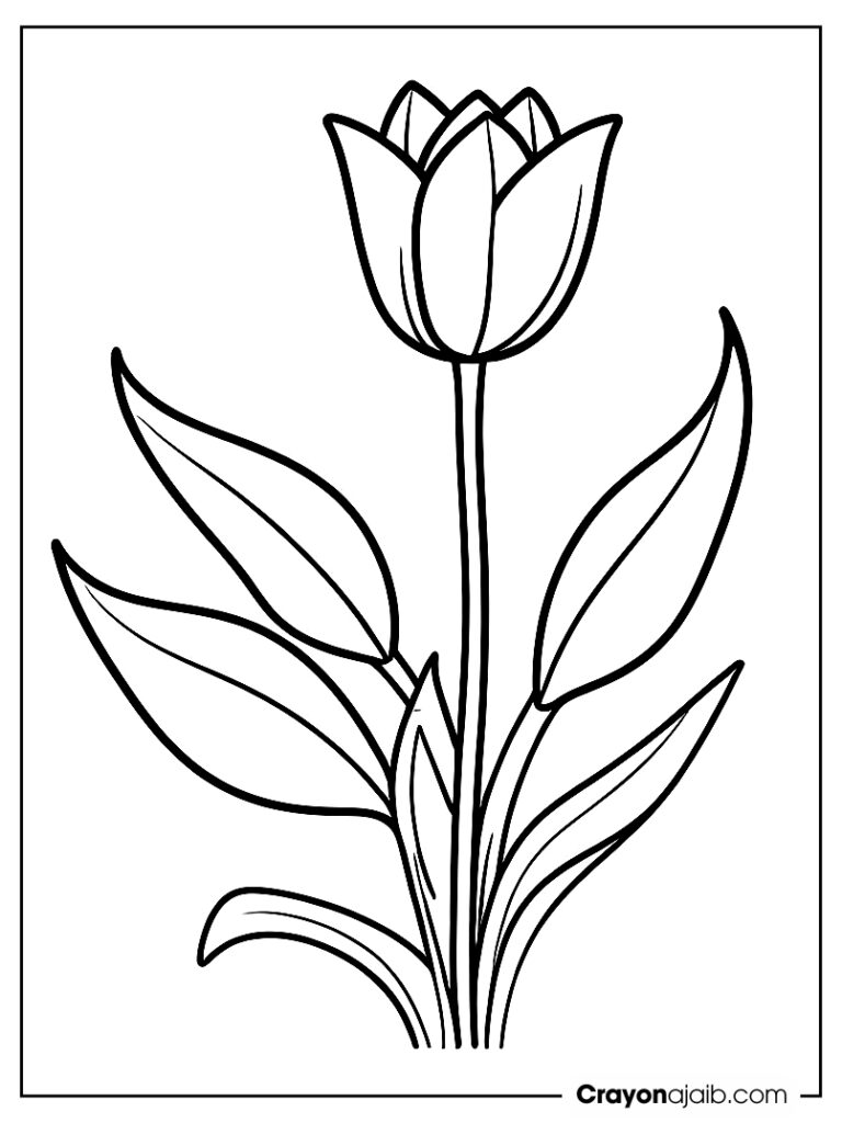 Tulip flower and sun illustration ca