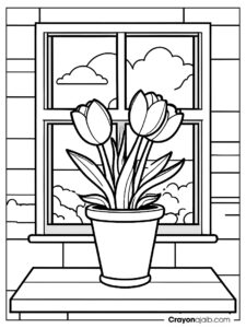 Tulip in flowerpot with window background ca