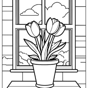 Tulip in flowerpot with window background ca