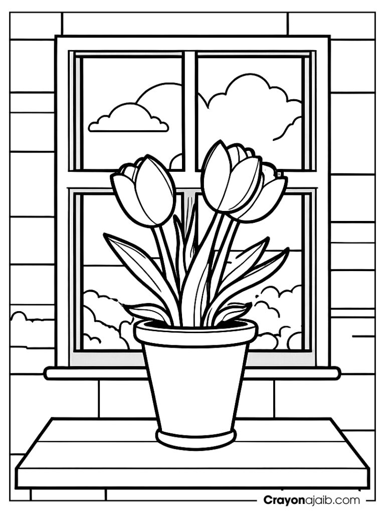 Tulip in flowerpot with window background ca