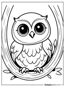 Baby owl coloring page in nest ca