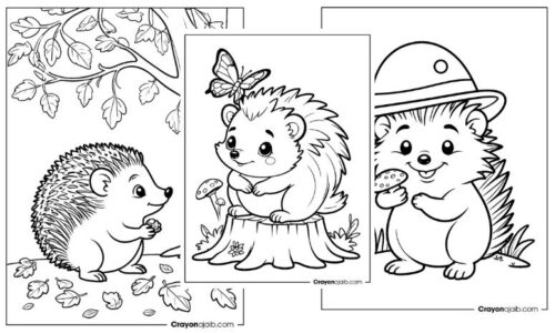 Best hedgehog coloring pages for preschooler ca