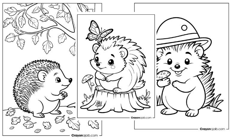 Best hedgehog coloring pages for preschooler ca