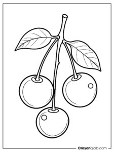 Cherries on branch coloring page