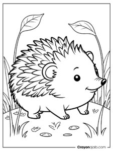 Curious hedgehog coloring page ca