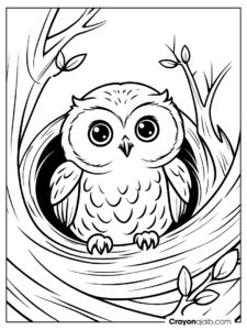 Curious owl in nest coloring page ca