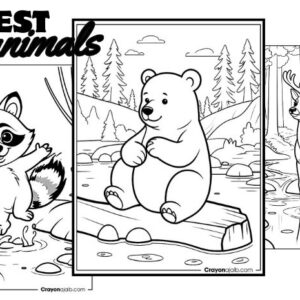 Forest animal coloring book collection