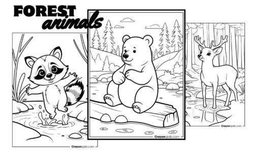 Forest animal coloring book collection