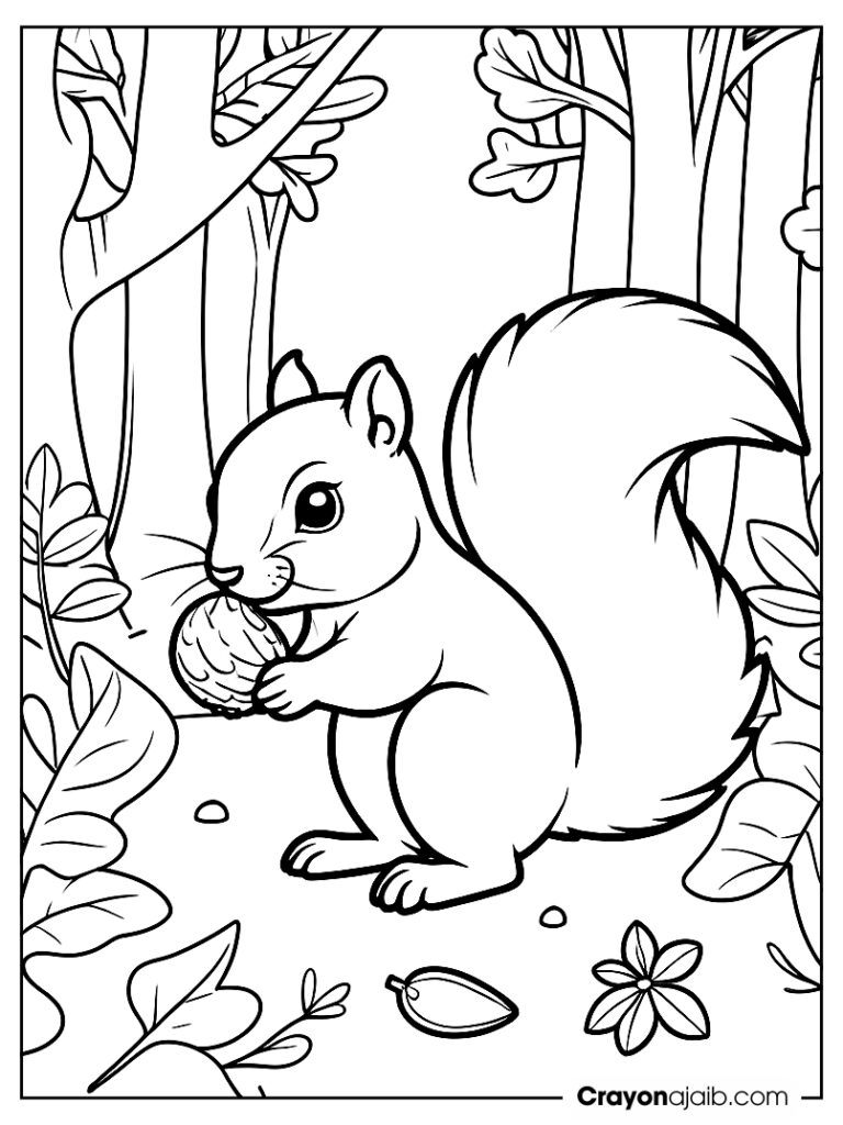 Forest floor with squirrel coloring page ca