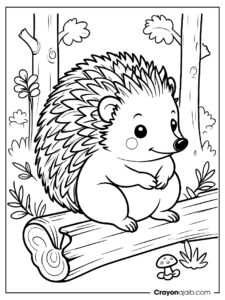 Forest hedgehog coloring page ca