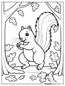 Forest squirrel jumping coloring page ca