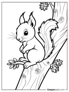 Forest squirrel and pinecones coloring page ca