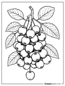 Free cherry coloring pages for kids