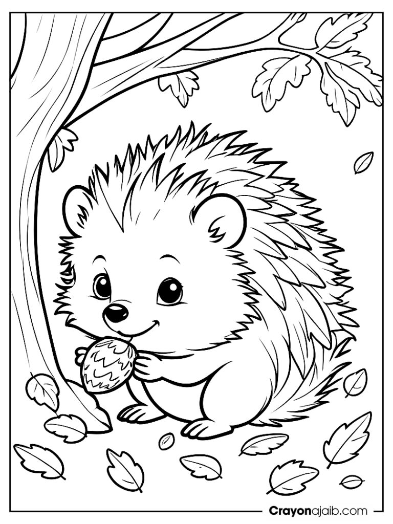 Hedgehog and acorn scene coloring page ca