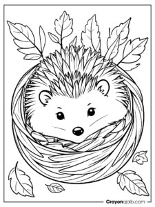 Hedgehog in leafy nest coloring page ca