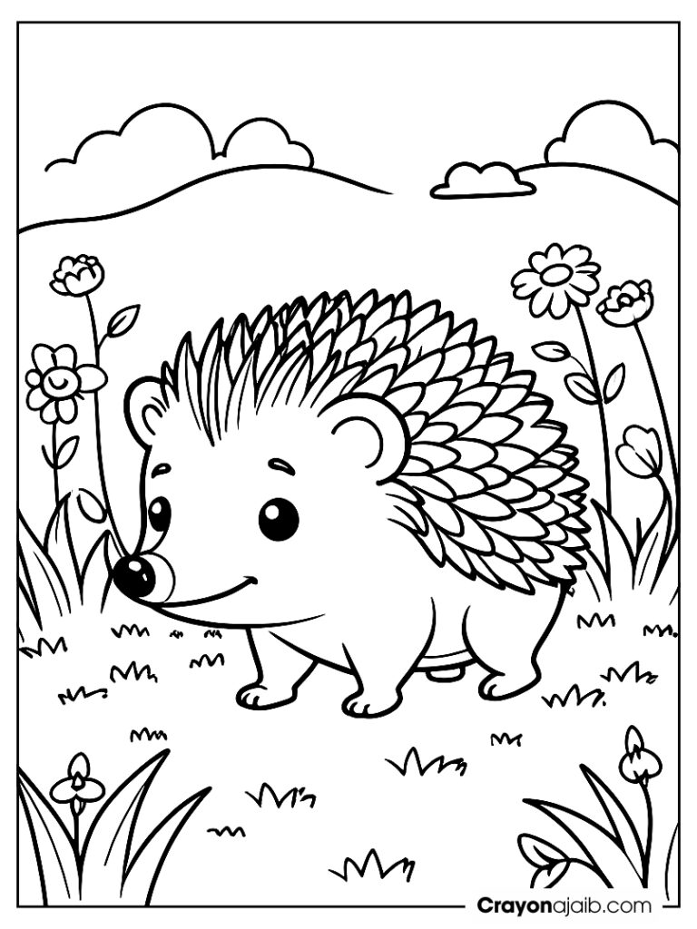 Hedgehog in meadow coloring page ca