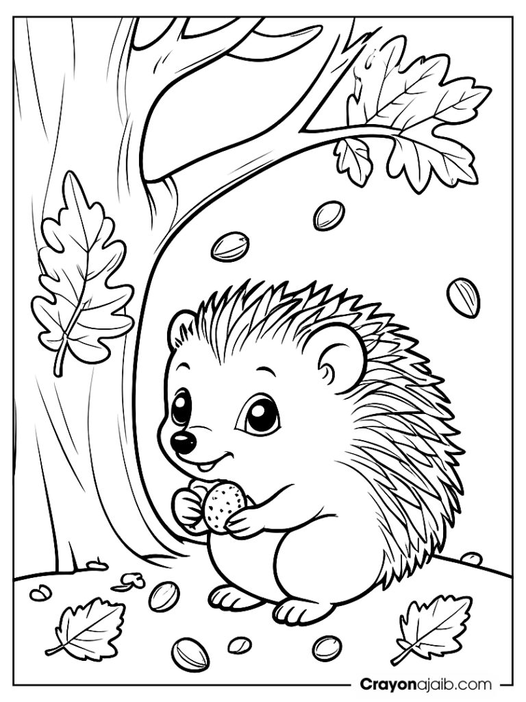 Hedgehog with acorn coloring page ca