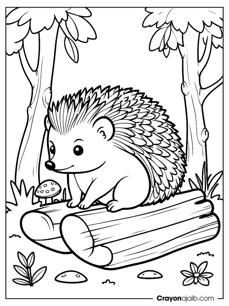 Hedgehog with forest plants coloring page ca