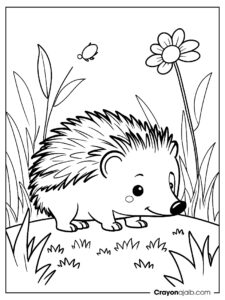 Hedgehog with tiny ladybug coloring page ca