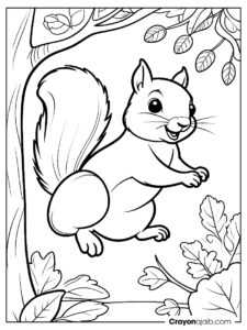 Jumping squirrel coloring page ca