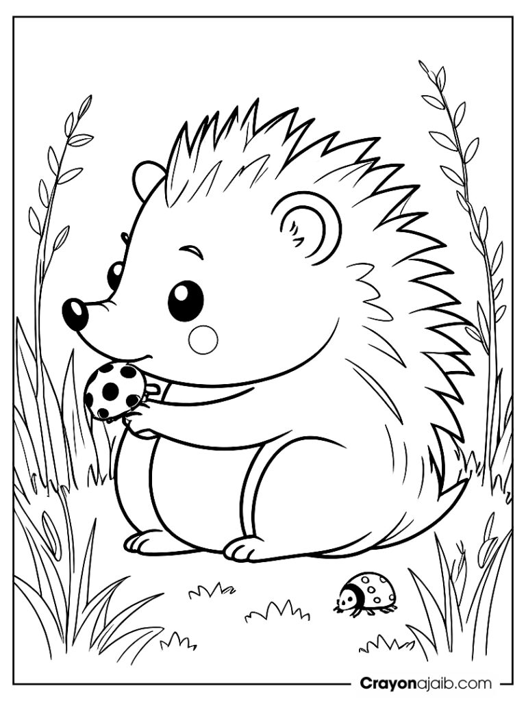 Ladybug and hedgehog coloring page ca