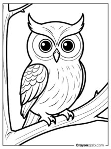 Owl coloring page for kids ca