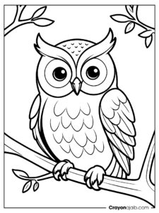 Owl coloring page on branch ca