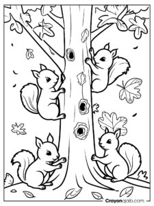 Playful squirrel group coloring page ca