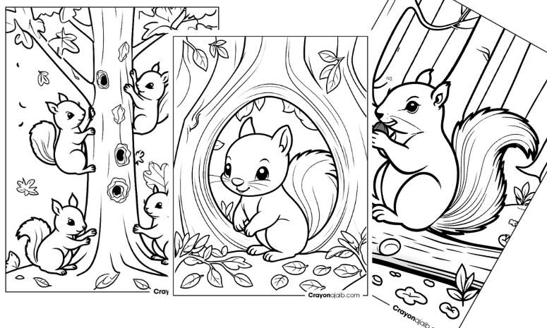 Printable squirrel coloring pages for kids ca