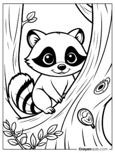 Raccoon line art coloring page ca