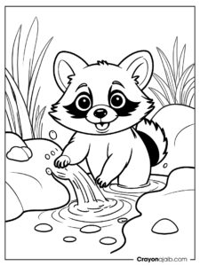 Raccoon splashing water coloring page ca