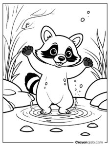 Raccoon in stream coloring page ca