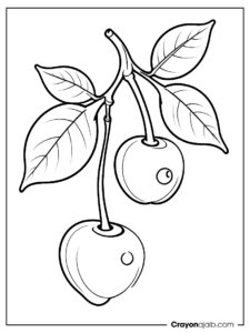 Simple cherry branch coloring page