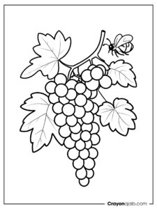 Simple grape nature scene coloring page ca