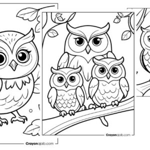 Simple owl coloring pages for preschoolers crayonajaib